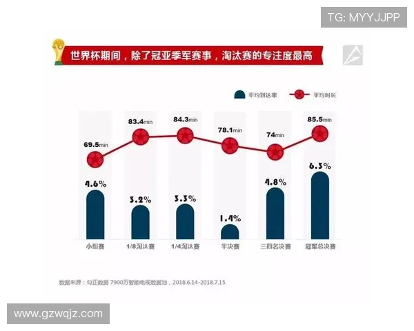 全球世界杯历史数据分析与球员战绩资源大全探索 - 副本 (2) - 副本